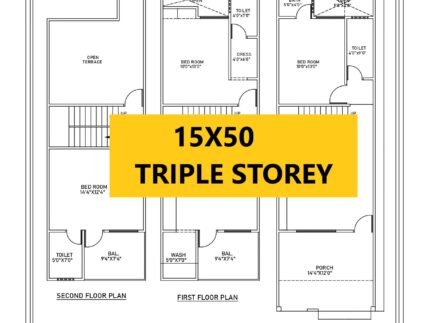 15x50 duplex house plan