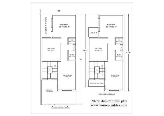 20 * 50 house design